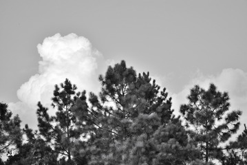 DSC_0055_123218