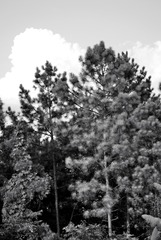DSC_0054_123217