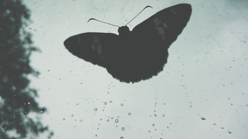 2014-06-26 04.04.33 1