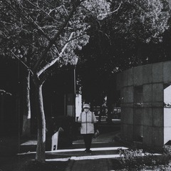 1942629
