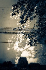 DSC07803-1_