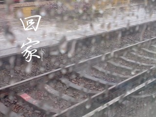 回家