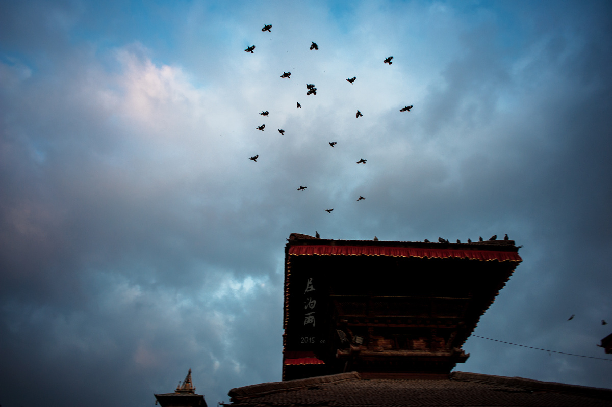 神庙上空的飞鸟