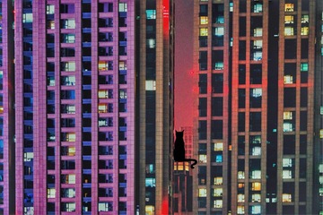001