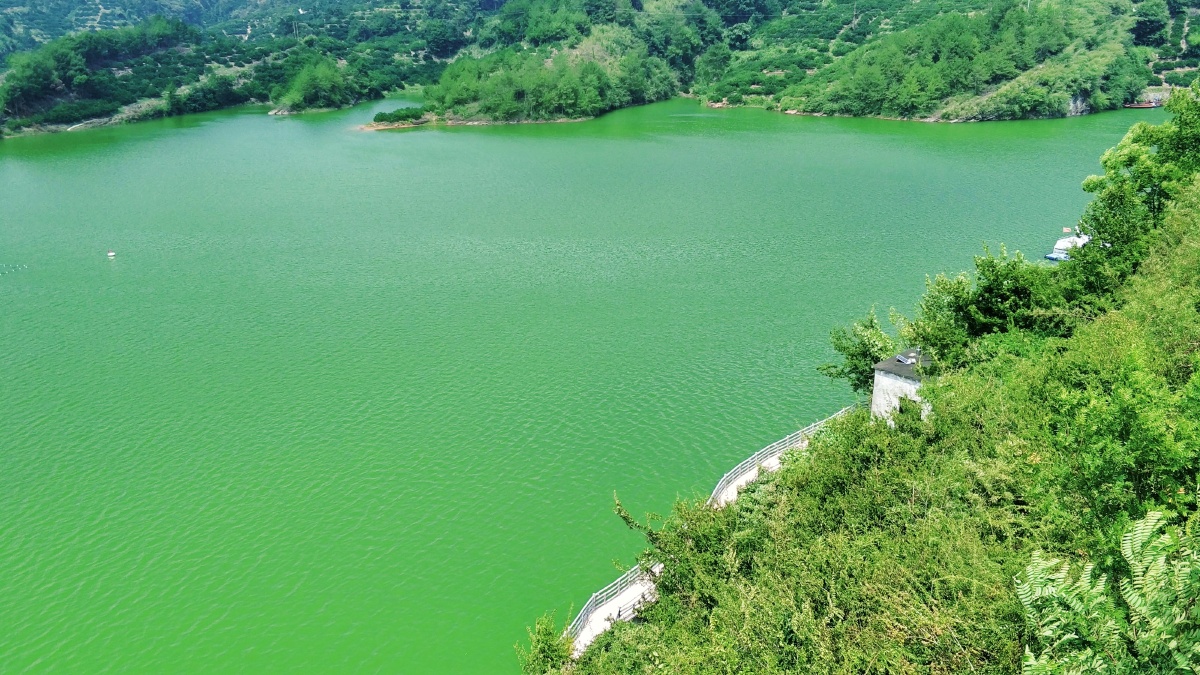 江西省抚州市南丰县包坊水库最终还是故地重游了1095个我爱你