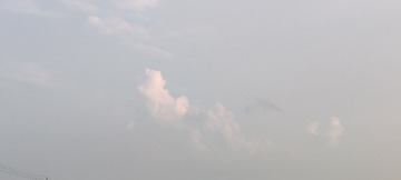 1000036465