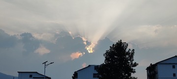1000036460