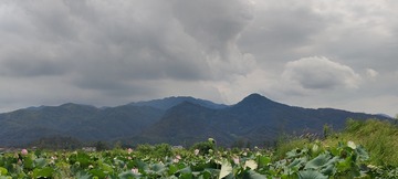 1000038074