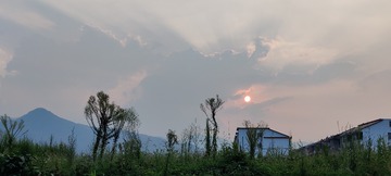 1000036476