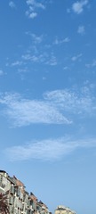 1000051165