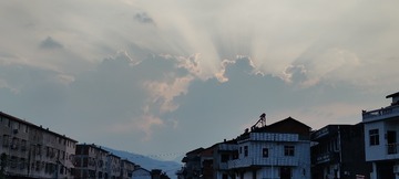 1000036469