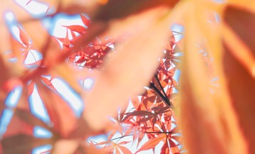 3E629336-752F-4AD0-AE71-F20D791DB105/L0/001