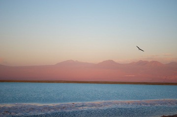 DSC_5977.jpg
