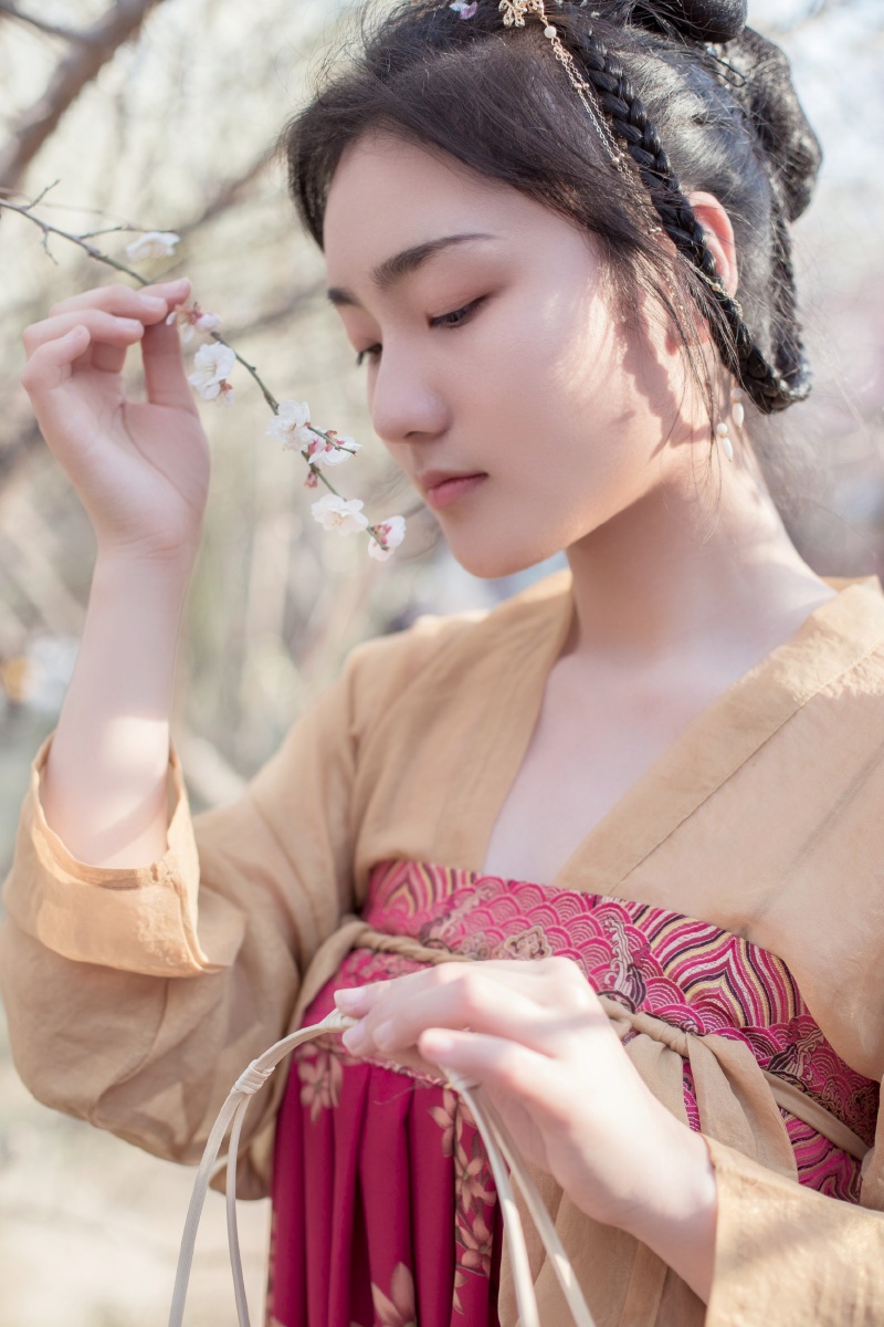 南国有佳人容华若桃李