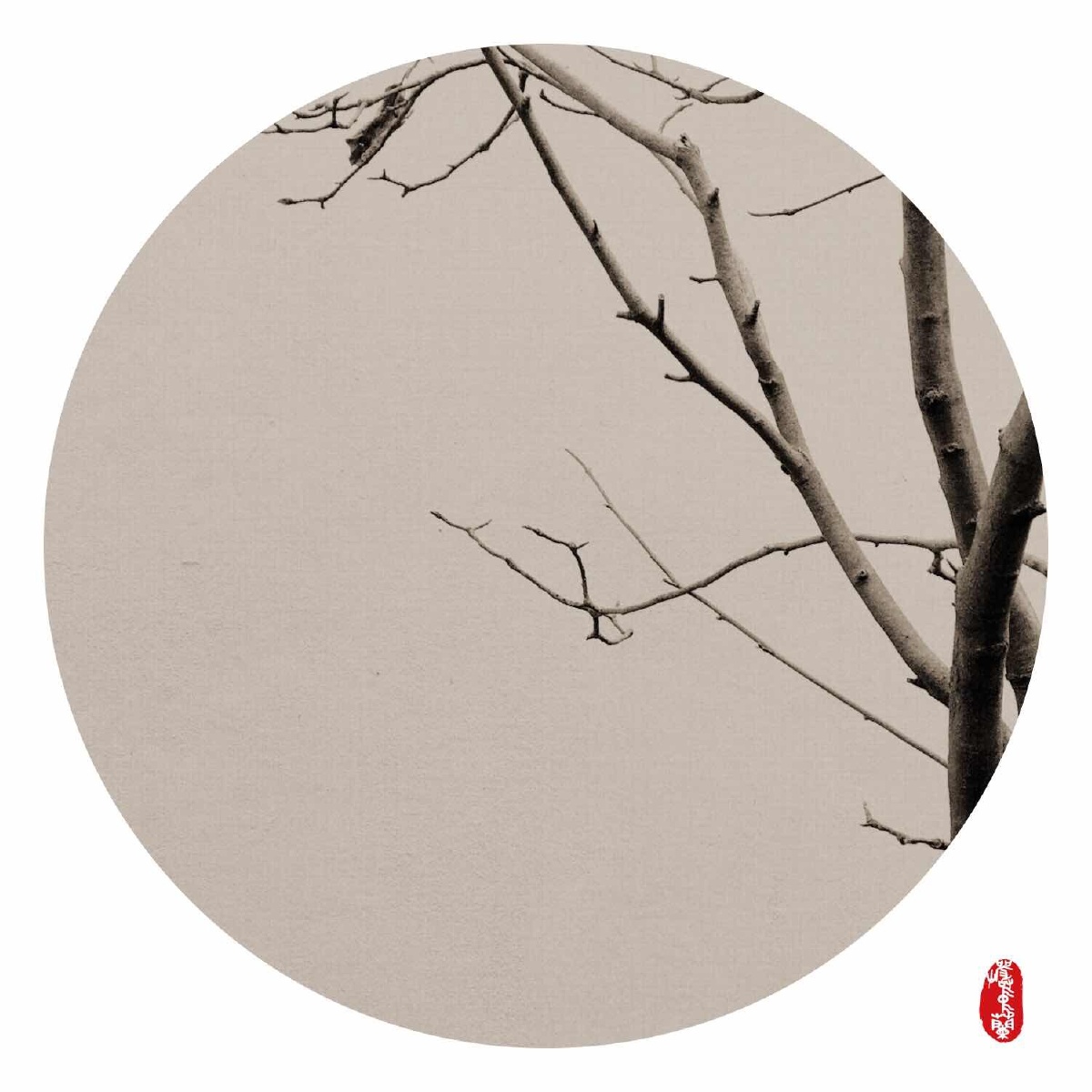 小寒安好! - 岩中兰 - 图虫