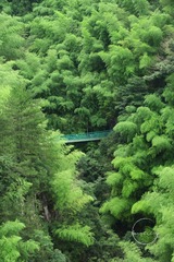 5F6090EB-1F30-407E-AB44-C0F26E8D32DD/L0/001