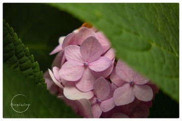 13D00364-10B8-47BD-BCC0-3210790A841B/L0/001