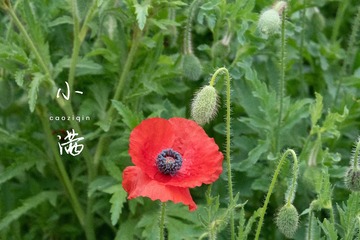 EF87FA99-07F5-4739-B732-F6F7620F2DB3/L0/001