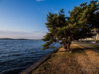 _8112726-2