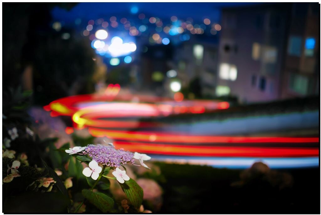 DSC_4545 拷贝<br />
