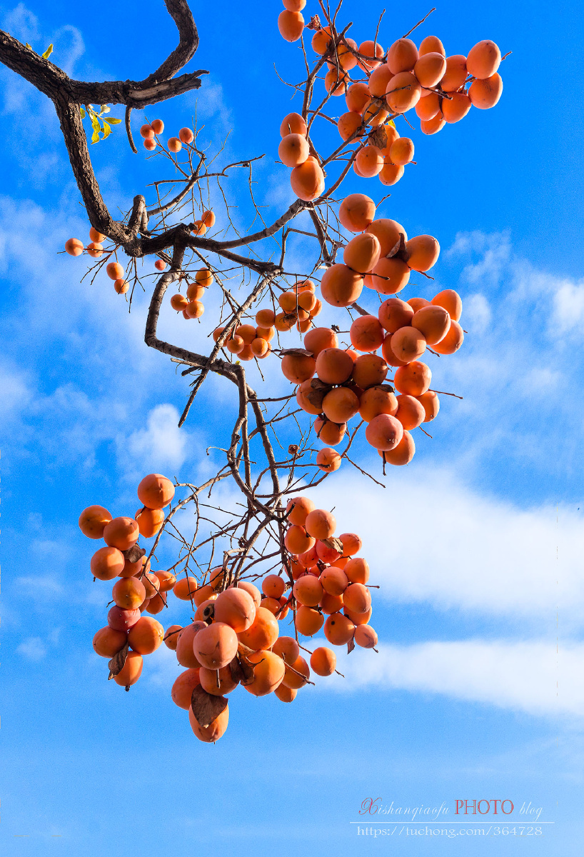 818_1200竖版 竖屏