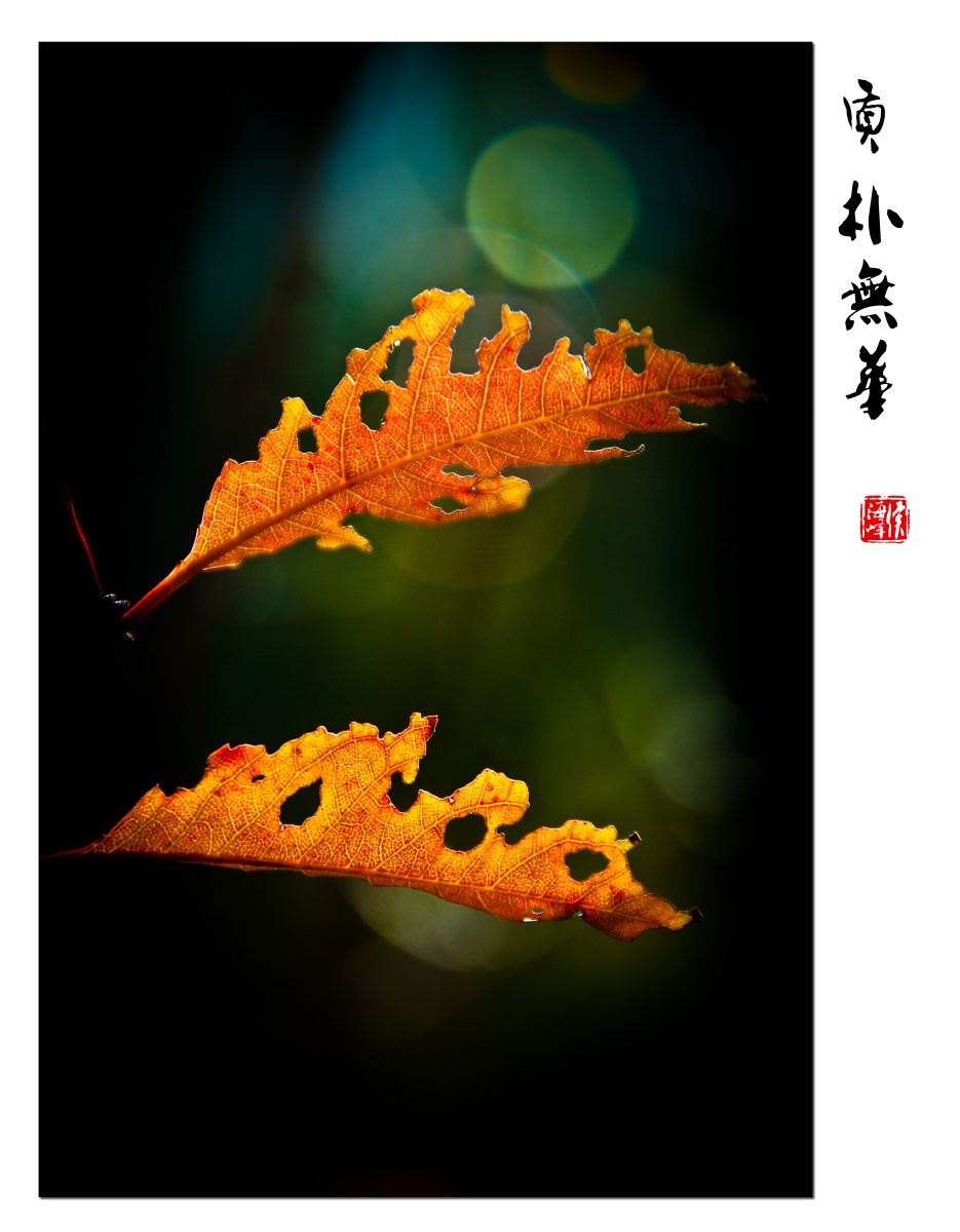 质朴无华 - 风光, 色彩, 小品, 尼康, 北京 - 领航员