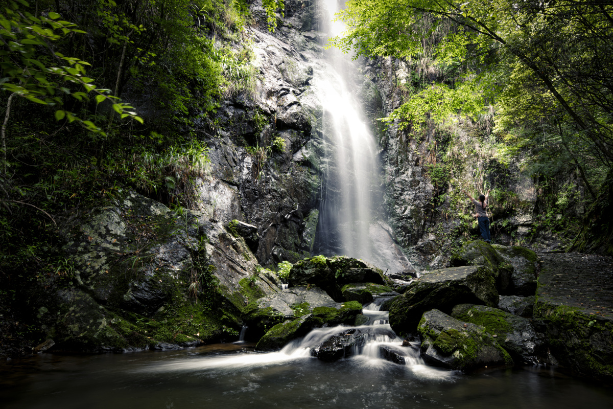 密林深处小瀑布