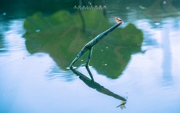 001