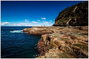 Avoca Beach
