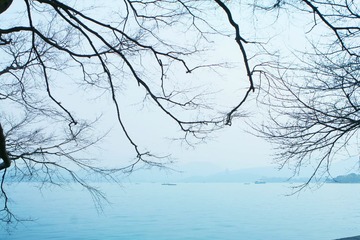 IMG_6512_