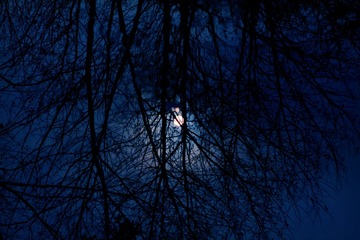 IMG_6552_