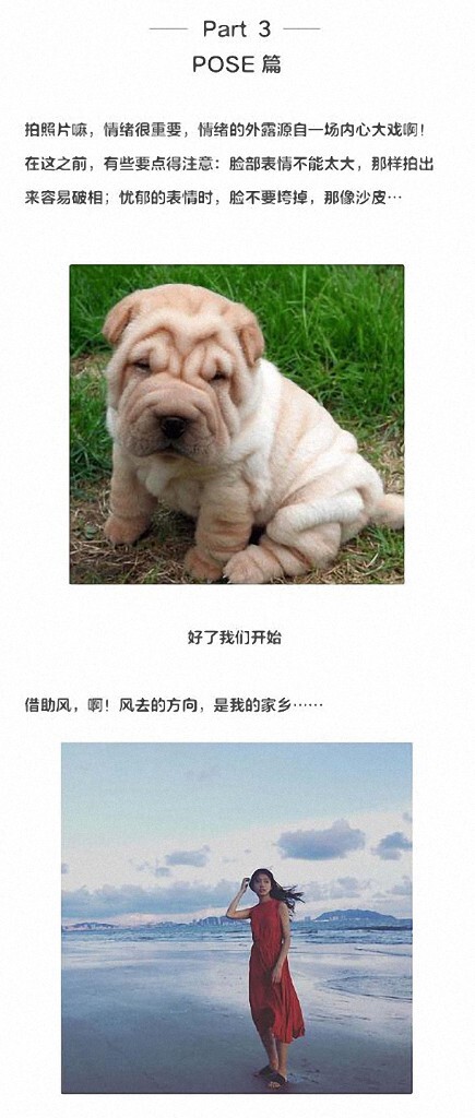 【网络时代已经终结了固步自封,“分享”是付出也是收获会让自己走的更远变的更强~~~】如图片格式问题影响浏览请访问下方个人微博。<br />
<br />
——新浪微博:<a href="http://weibo.com/AMU2018" target="_blank" rel="nofollow">http://weibo.com/AMU2018</a> 【加关注有惊喜】定期推送更多免费的摄影教程——<br />
<br />
后续会继续整理转载分享更新有用,实用,简单的摄影教程,感兴趣的摄友请关注。<br />
——喜欢别忘了【关注】 我 并点右上角的 【❤ 分享】给更多人