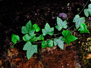 P8190146
