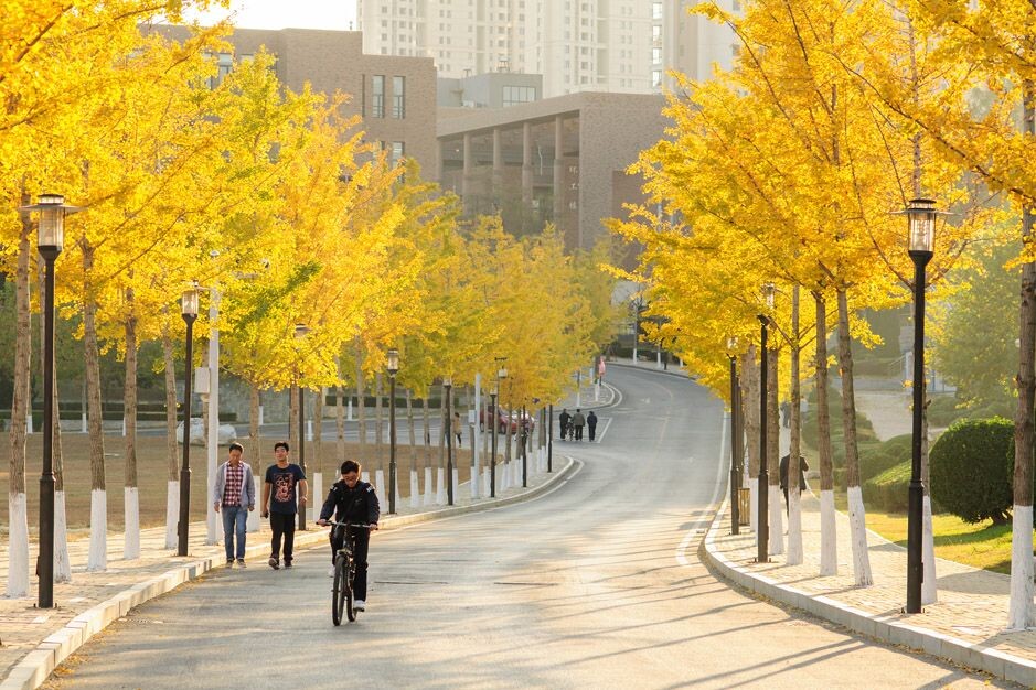 大连海事大学通往西部校区的路，摄于2013年秋