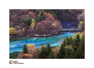 DSC_6533-1.jpg