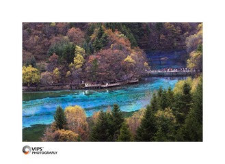 DSC_6533-1.jpg