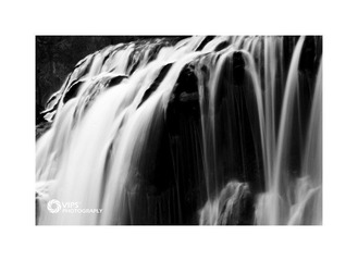 DSC_6310-b.jpg
