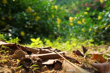 DSC01091_