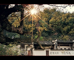 宁静的小村外......