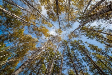 IMG_1826-1-0