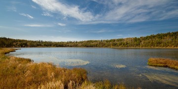 IMG_1840-1-0