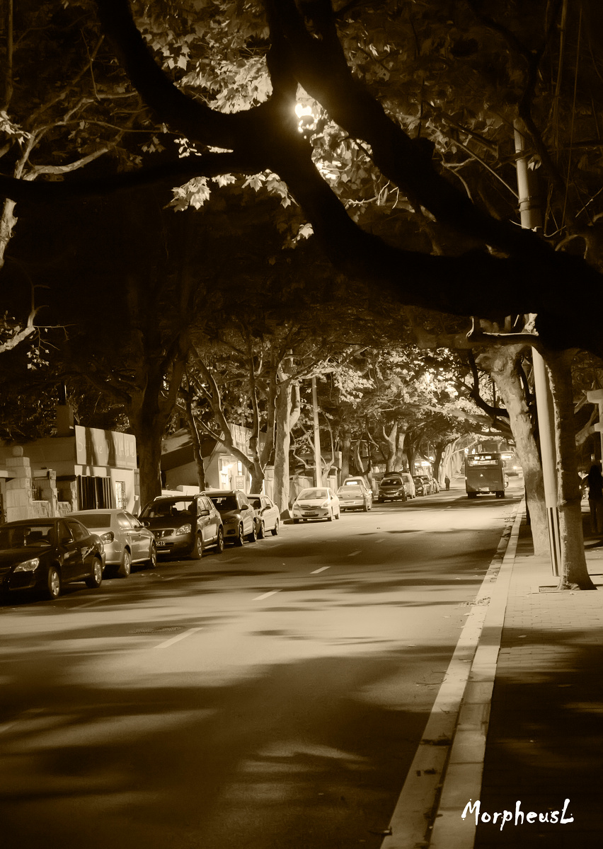 陌生而又熟悉的街道