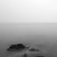 DSC_3324 - 