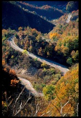 Image1