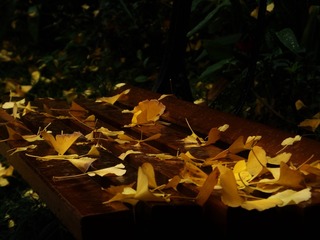 2014-11-30_02
