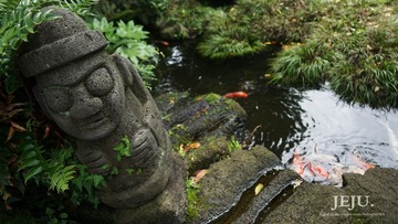 DSC09175_