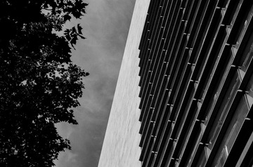 DSC_0007-1-2