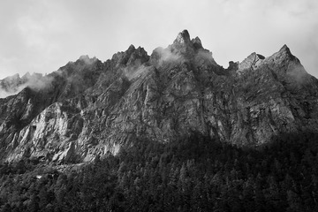 IMG_0736-2