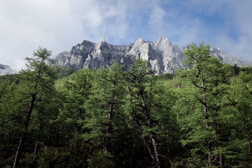 IMG_0727-2