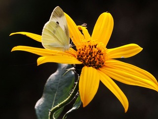 DSCN8416_